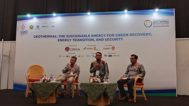 Kementerian ESDM: Energi Panas Bumi di Indonesia Belum Banyak Dilirik Investor