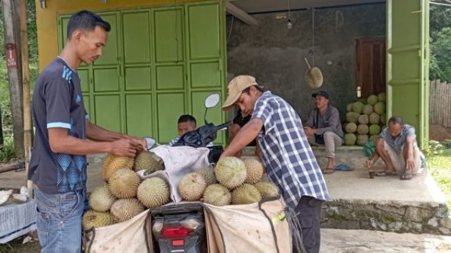 Salah satu pedagang durian Baduy sedang menjual durian. [BantenHits.com/ Fariz Abdullah]