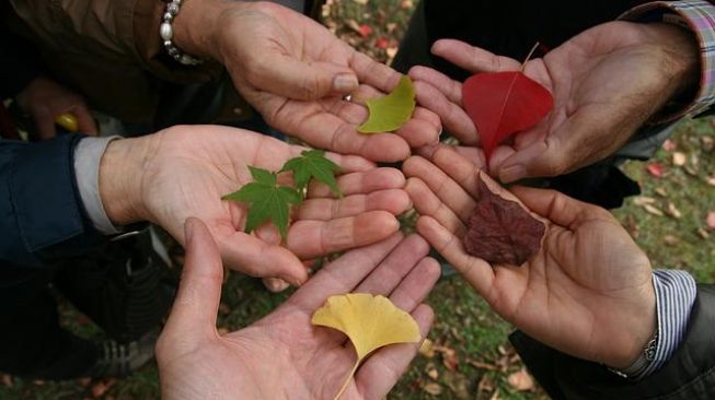 4 Manfaat Menjalin Solidaritas, Kamu Harus Tahu