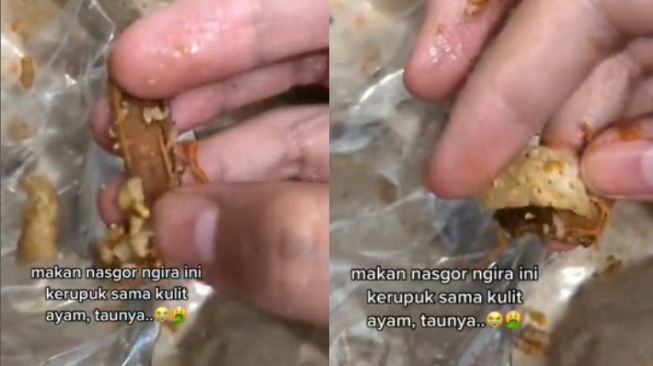 Makan Nasi Goreng Kerupuk Kulit, Warganet Ini Temukan Hansaplast Bekas