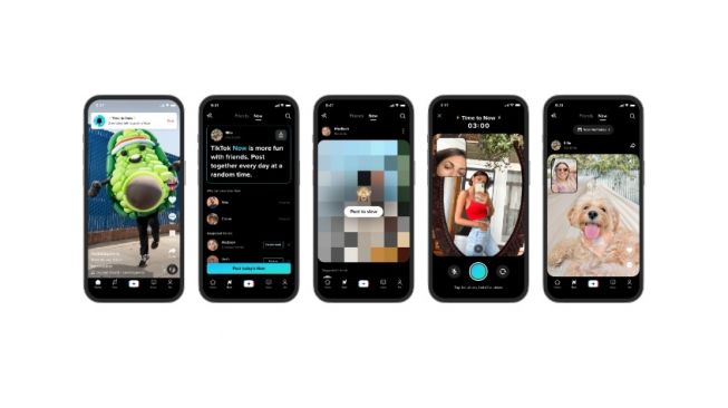 Fitur baru TikTok, TikTok Now. [TikTok]