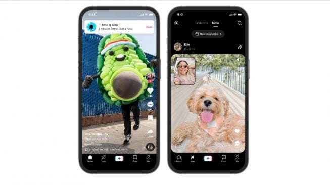 Fitur baru TikTok, TikTok Now. [TikTok]
