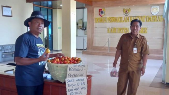 Petani Jember Bagikan Tomat Gratis ke DPRD Sebab Harga Anjlok Beberapa Pekan Ini
