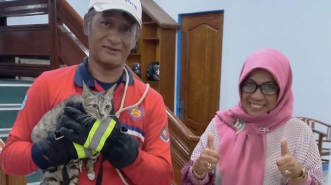 Selamatkan Kucing yang Terjebak Selama 5 Hari di atas Kanopi Damkar Pontianak Banjir Pujian Netizen