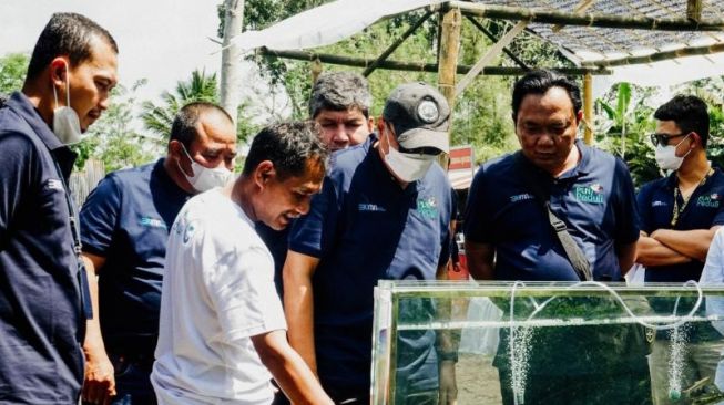 Peninjauan program budi daya ikan wader pari di salah satu kelompok budi daya di Yogyakarta - (SuaraJogja.id/HO-PLN)