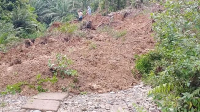 Malang Diguyur Hujan Deras, Longsor dan Pohon Tumbang Lumpuhkan Jalur Gunung Geger