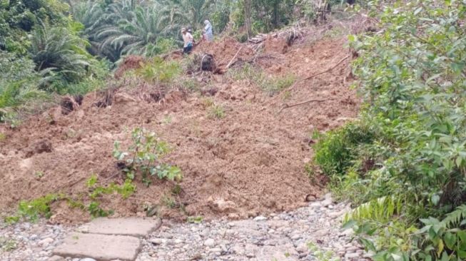 2 Truk Muatan Sawit Terjebak Tanah Longsor Sejak Kemarin, Proses Evakuasi Masih Berlangsung