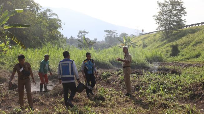 Cegah Kecelakaan, Ganjar Turun di Jalan Tol Bawen-Ungaran untuk Matikan Api dari Rumput yang Terbakar