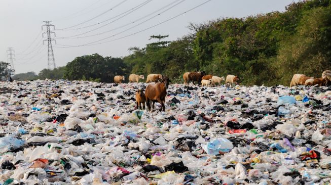 Penampakan Tempat Pembuangan Sampah (TPS) liar di bantaran Kali CBL (Cikarang Bekasi Laut) di Tambun, Kabupaten Bekasi, Jawa Barat, Rabu (21/9/2022). [Suara.com/Alfian Winanto]