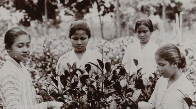 Cantik Natural Tanpa Filter, Publik Penasaran Lihat Sosok Wanita di Foto Jadul Tahun 1885 Ini