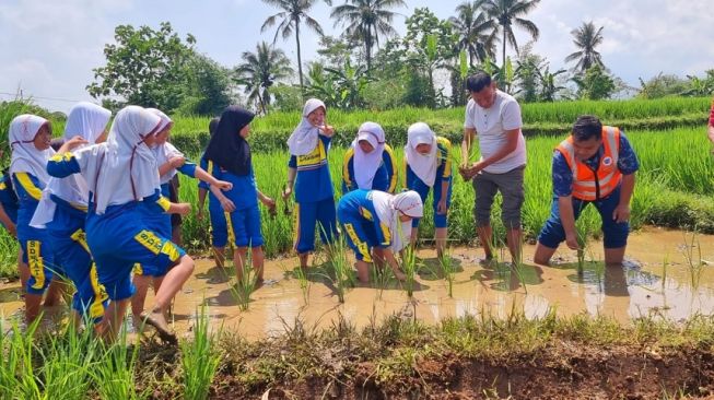 Belajar Pertanian Ramah Lingkungan di Kampung Papisangan