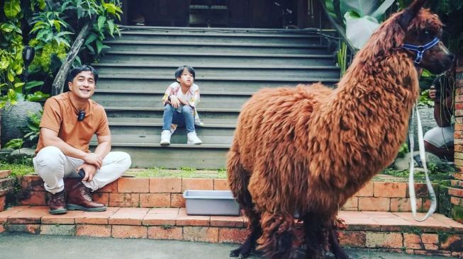 Potret Irfan Hakim Bersama Alpaca (Instagram/@irfanhakim75)