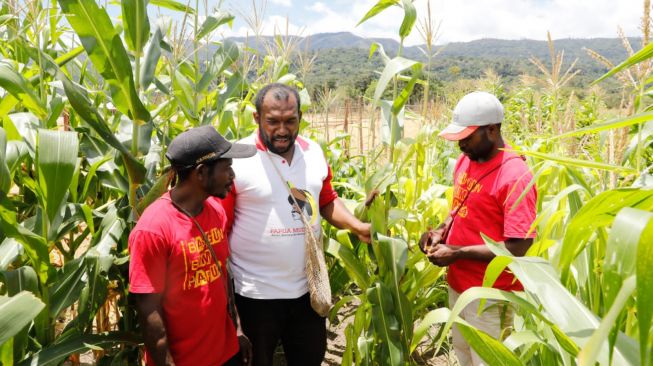 BIN dan Papua Muda Inspiratif Berhasil Berdayakan 120 Orang untuk Bekerja di Lahan Jagung