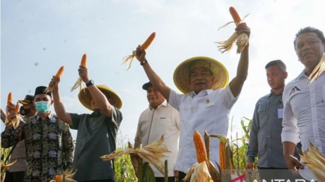 Moeldoko Ikut Panen Raya di Pemalang, Jaga Ketahanan Pangan Nasional