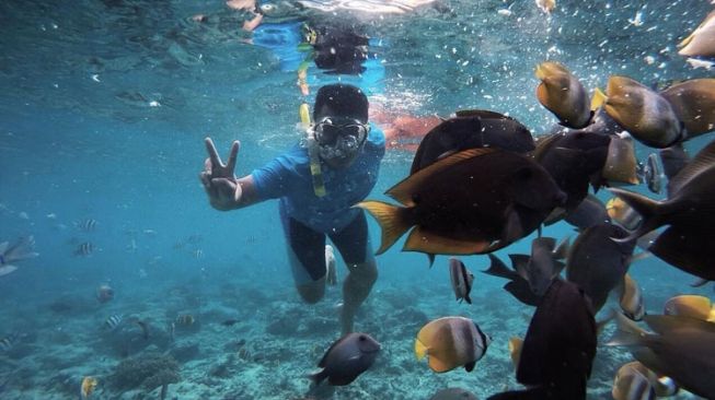 4 Tempat Snorkeling Paling 'Aduhai' di Malang Selatan, Kalian Harus Coba..!