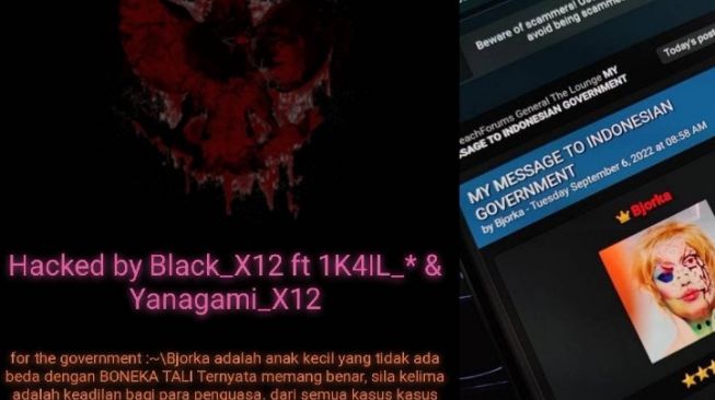 Bjorka: Dulu Ibu Puan Maharani Menangis Karena Kenaikan Harga BBM, Sekarang Dia Bahagia