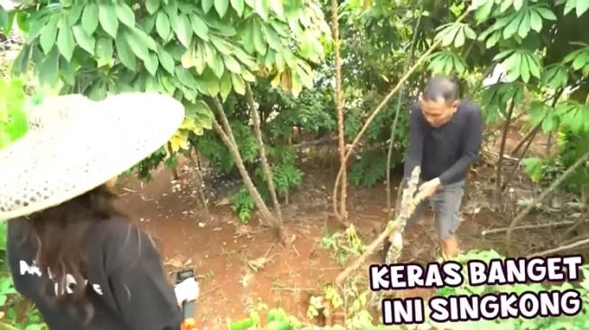 Momen Ayu Ting Ting dan Ayah Ojak berkebun (YouTube/TRANS7 OFFICIAL)