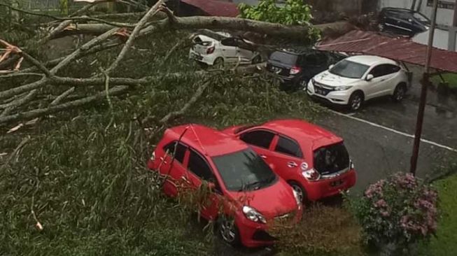 Hujan Deras Kembali Guyur Wilayah Bogor, Pohon Samping BTM Tumbang Hingga Tutup Badan Jalan