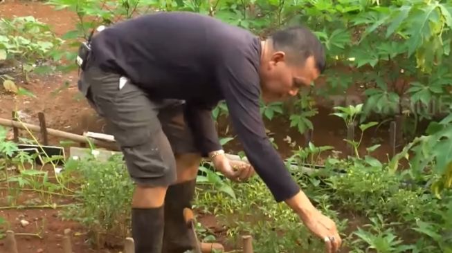 Momen Ayu Ting Ting dan Ayah Ojak berkebun (YouTube/TRANS7 OFFICIAL)