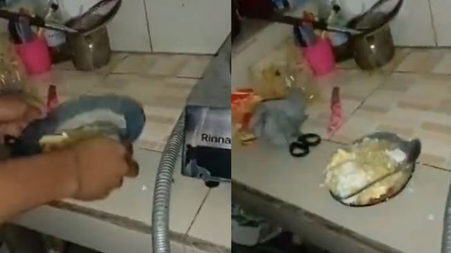 Siap Makan, Pria Ini Malah Berakhir Apes karena Piring Bolong