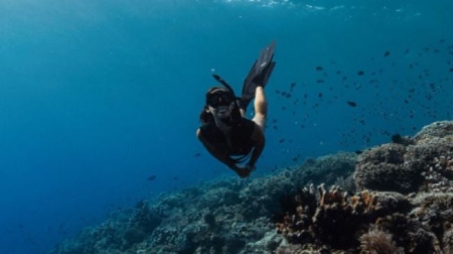 4 Wisata Bawah Laut Terbaik di Indonesia, Wajib Masuk Wishlist!