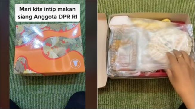 Spill Nasi Kotak Makan Siang Anggota DPR RI saat Rapat Paripurna, Warganet Tak Percaya: Enggak Mungkin Kayaknya