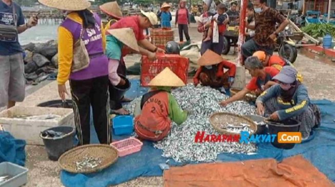 Nelayan Tradisional Pangandaran Panen Berkah, Bisa Cuan Rp 40 Juta dalam Sehari