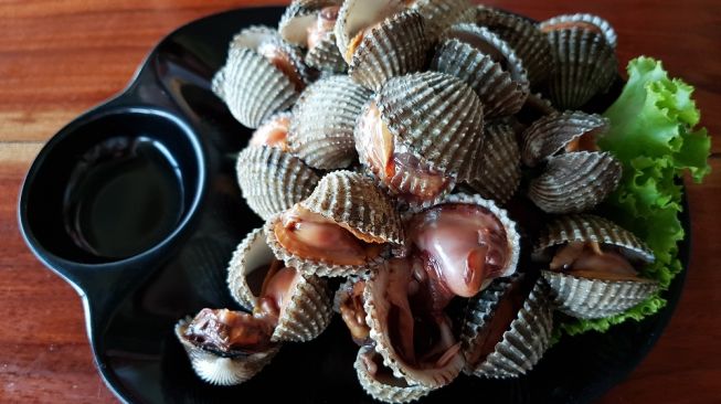 Saking Enaknya, TikTokers Ini Mukbang Kerang Dara Sampai Pusing