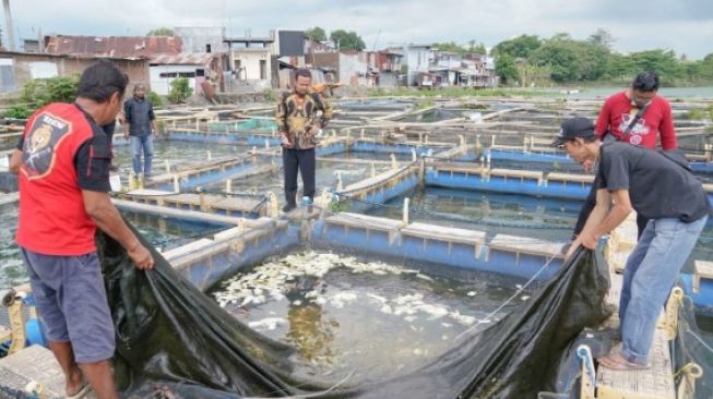 Gubernur Sulsel Andi Sudirman Kunjungi Usaha Keramba Jaring Apung di Balang Baru