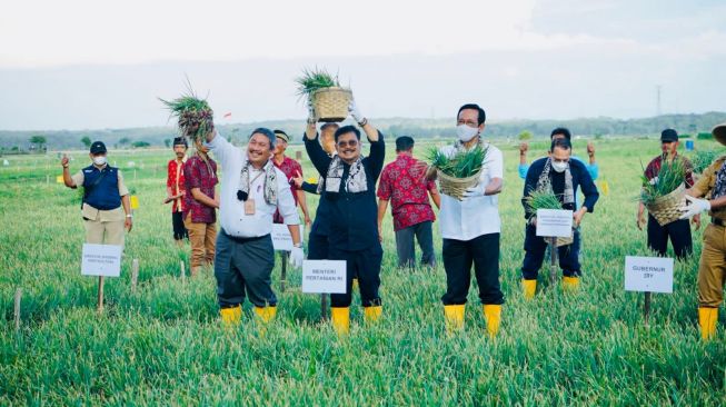 Mentan, Syahrul Yasin Limpo di DIY. (Dok: Kementan)