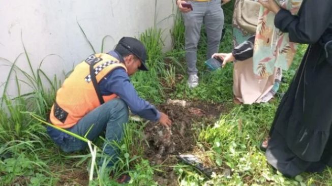 Ngeri! Warga Tasikmalaya Temukan Kuburan Massal Kucing Korban Pembantaian