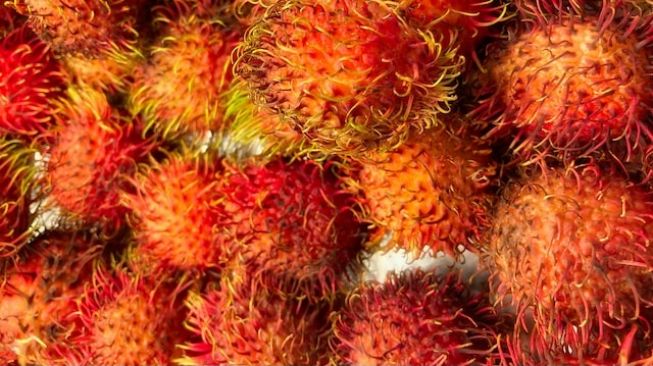 5 Manfaat Buah Rambutan untuk Ibu Hamil, Salah Satunya Sumber Vitamin E