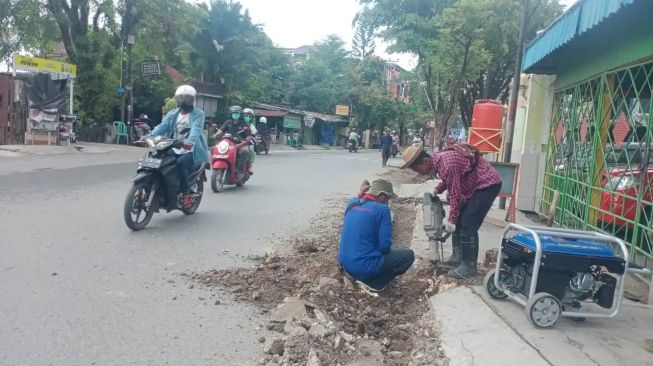 Ternyata, Akar Pohon Jadi Masalah Drainase di Banjarmasin, Ini Buktinya