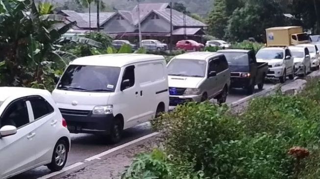 Ada Pohon Tumbang, Ratusan Kenderaan Terjebak Macet di Pesisir Selatan