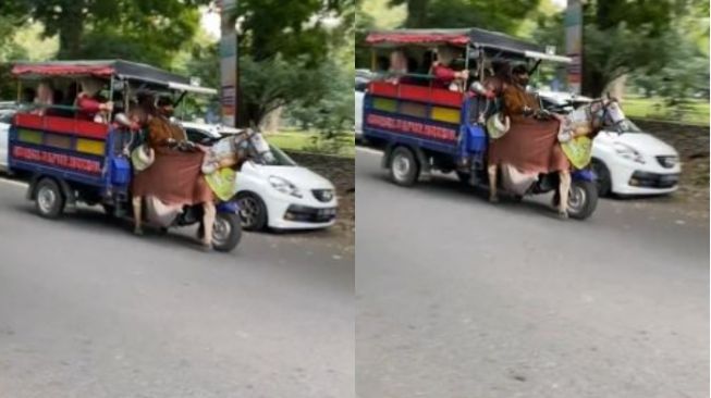 Kecepatan Lari Kuda Ini di Atas Rata-rata, saat Diperhatikan Ternyata Ini Penyebabnya