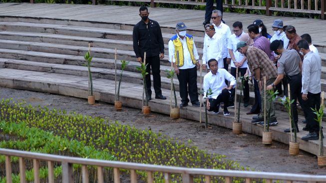 Puncak KTT G20 di Bali, Jokowi Rencana Tanam Mangrove Bersama Sejumlah Kepala Negara di Kawasan Tahura Ngurah Rai