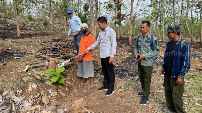 Ketahuan Tebang Pohon Jati di Hutan Gangsiran Magetan, Kakek Asal Wonogiri Diciduk Polisi