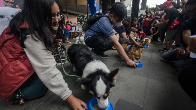 Peserta bersama anjing peliharaannya mengikuti lomba makan Happy World Animal Day di Paskal 23 Mal, Bandung, Jawa Barat, Minggu (9/10/2022). [ANTARA FOTO/Novrian Arbi/foc]