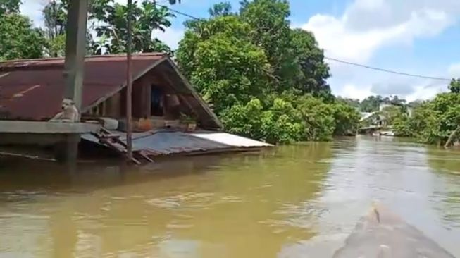 Banjir Rendam Sejumlah Wilayah Ketapang, Ketinggian Air Hingga 3 Meter, Ribuan Warga Terdampak