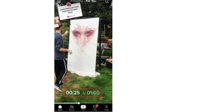 Tampilan di Tiktok  [Android Authority]