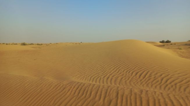 Tak Sekadar Hamparan Pasir, Inilah 7 Hal yang Ditawarkan Dubai Desert Safari