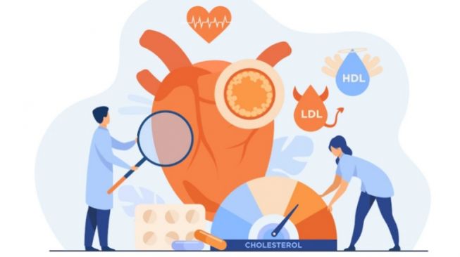4 Tips Ampuh Mengurangi Kadar Lemak Jahat Berlebih dalam darah
