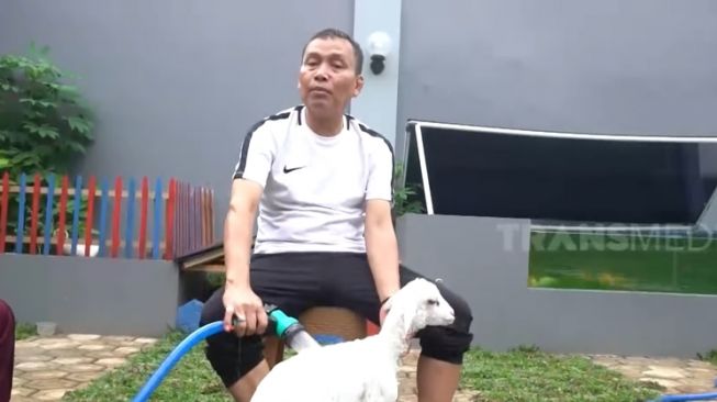 10 Potret Ayah Ojak Mandikan Kambing Kesayangan Ayu Ting Ting, Diurus