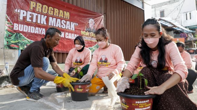 Dongkrak Perekonomian, Relawan Mak Ganjar Bagi-bagi Ratusan Pohon Cabai