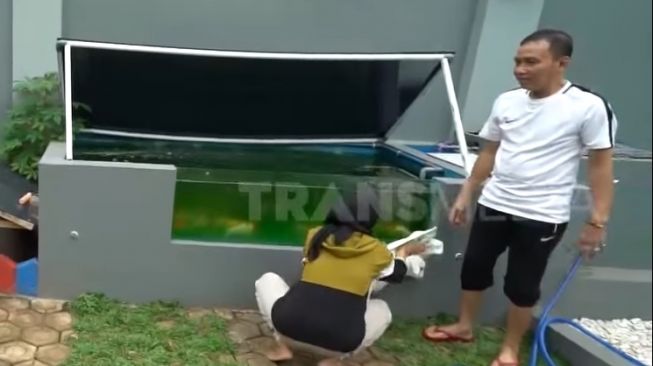 Potret Ayah Ojak Mandikan Kambing Kesayangan Ayu Ting Ting (YouTube/TRANS7 OFFICIAL)