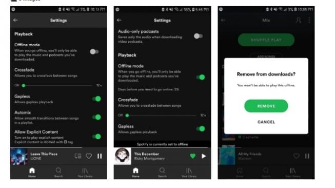  Tampilan di Spotify [makeuseof]