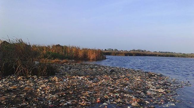 Pengakuan Pembeli Lahan 6 Hektar Diduga Laut di Teluk Naga