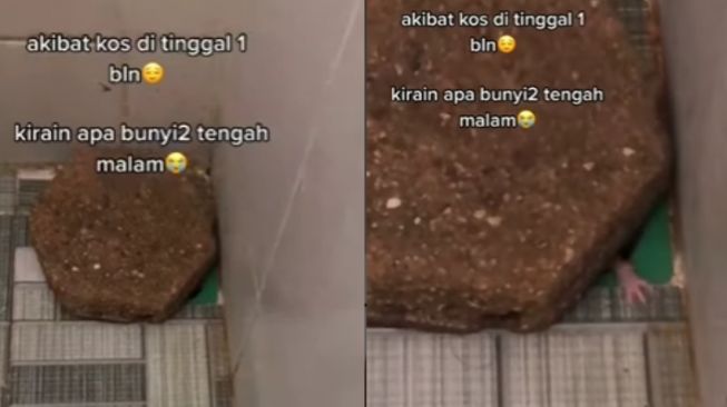 Kamar Kos Ditinggal Seminggu, Sosok di Kamar Mandinya Bikin Syok