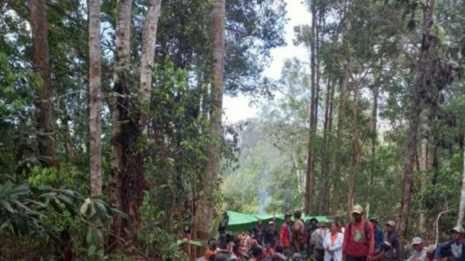 6 Hari Berlalu Alwi Hilang di Hutan Perbatasan RI-Malaysia, Hingga Kini Belum dapat Ditemukan