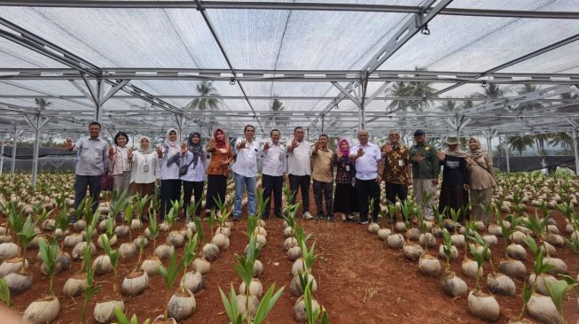 Genjot Produksi, Kementan Bangun Nursery Modern Kelapa